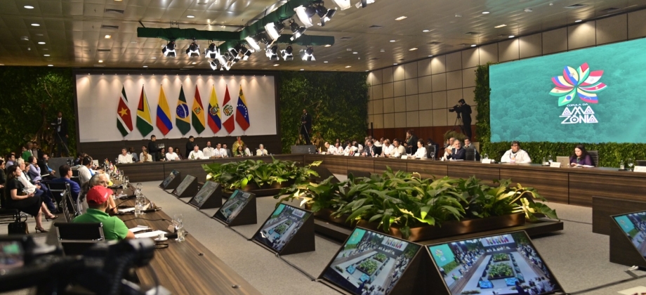 Presidentes se comprometen a proteger la integridad, combatir la pobreza y promover el desarrollo sostenible de la Amazonía